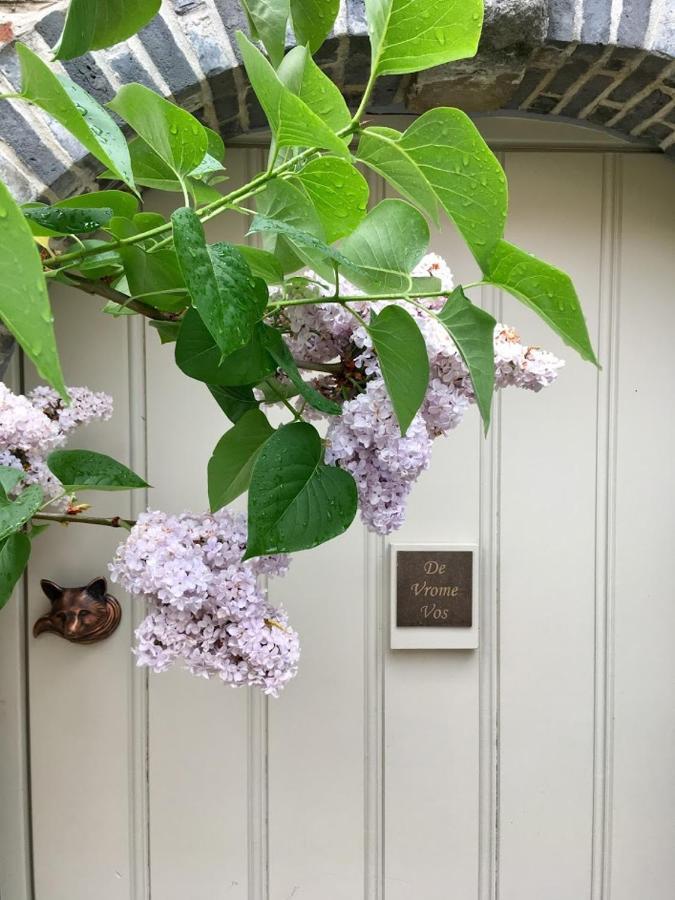 B&B De Vrome Vos Mechelen Exteriér fotografie
